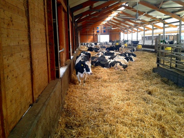 Micro-station d'épuration - Ferme - Effluents spéciaux