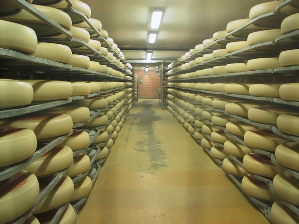 Station d'épuration pour eaux blanches de fromagerie